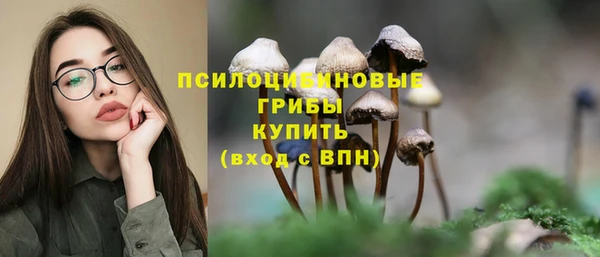 прущие грибы Алексеевка
